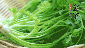 挑選鮮嫩的香菜，洗干凈后，處理成小段。